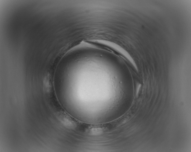 X0000070230228200606021355