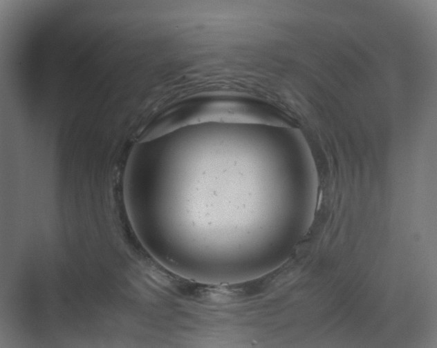 X0000070230229200606021355