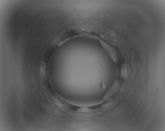 X0000070230231200606021355