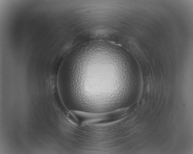 X0000070230232200606021355