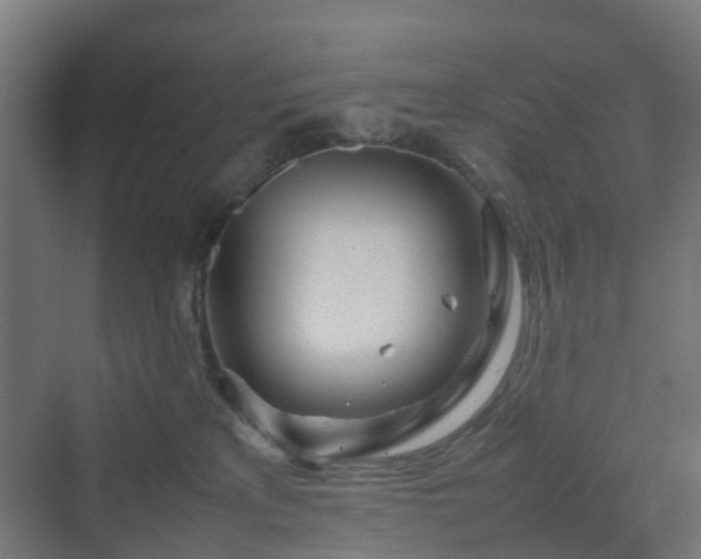 X0000070230233200606021355