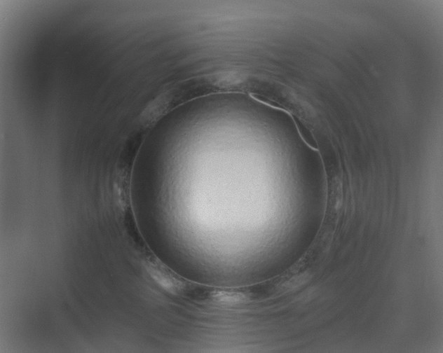 X0000070230234200606021355