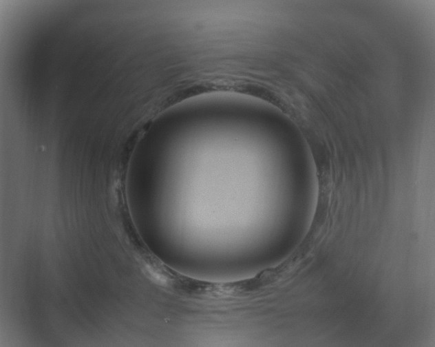 X0000070230235200606021355