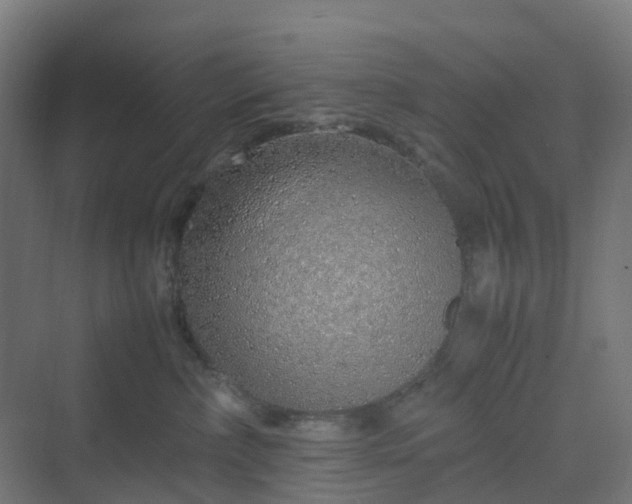 X0000070230236200606021355