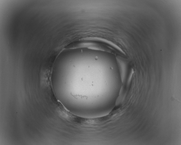 X0000070230237200606021355