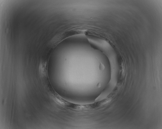 X0000070230239200606021355