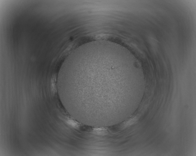 X0000070230240200606021355