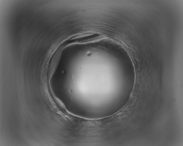 X0000070230241200606021354