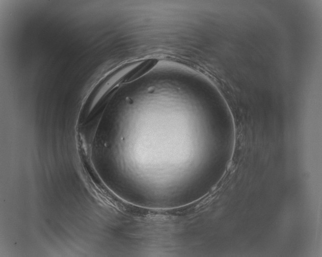 X0000070230242200606021354