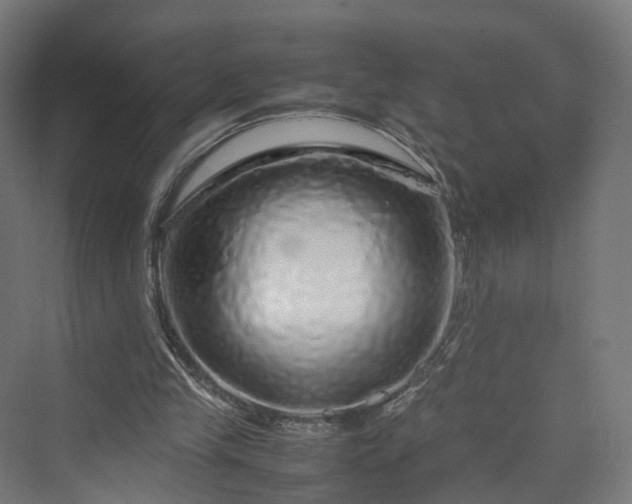 X0000070230245200606021354