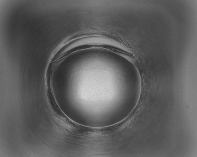 X0000070230246200606021354