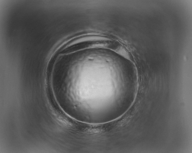 X0000070230247200606021354