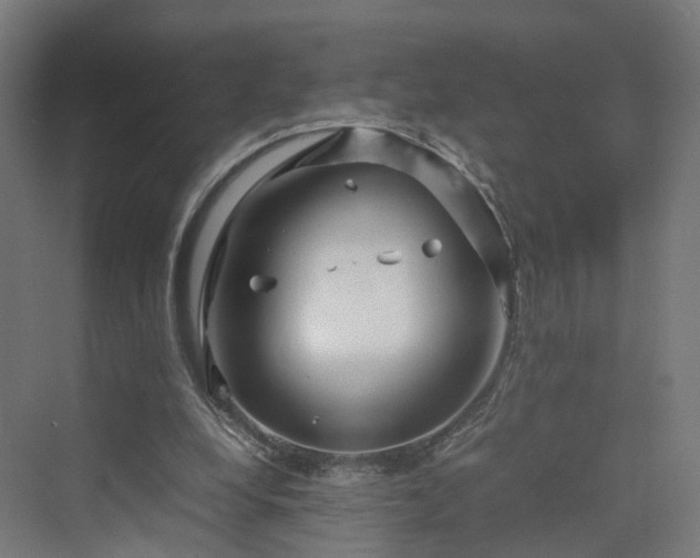 X0000070230248200606021354