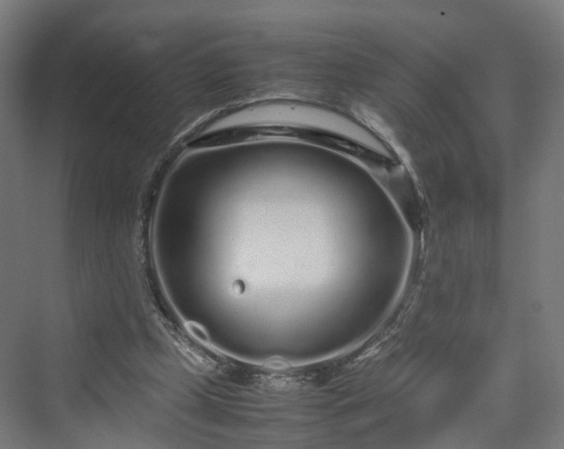 X0000070230249200606021354