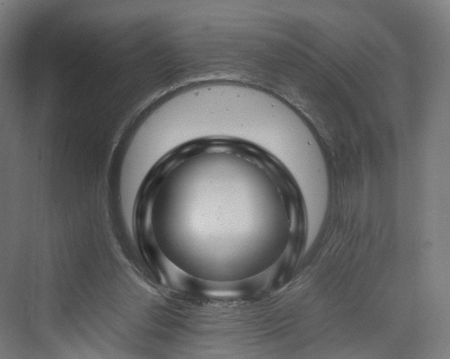 X0000070230252200606021355