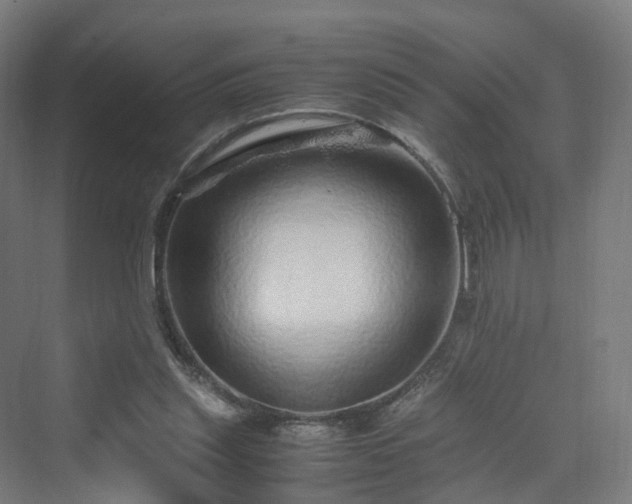 X0000070230253200606021355