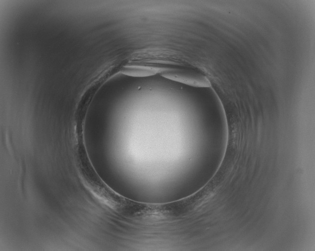 X0000070230254200606021355