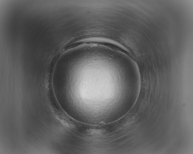 X0000070230255200606021355