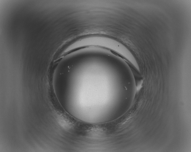 X0000070230256200606021355