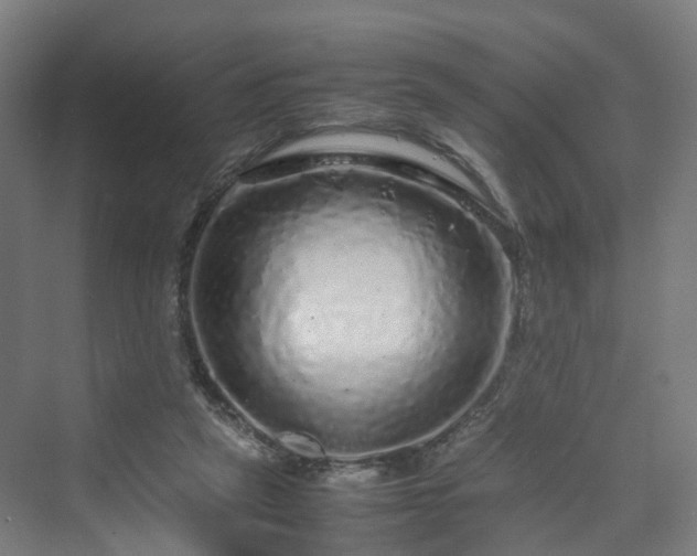 X0000070230257200606021355