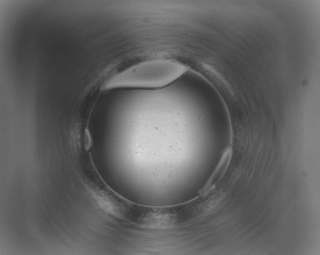 X0000070230260200606021355