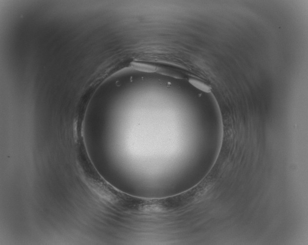 X0000070230262200606021355