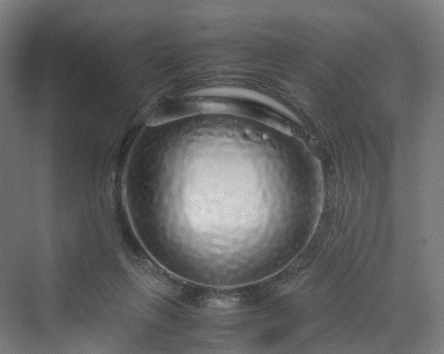 X0000070230263200606021355