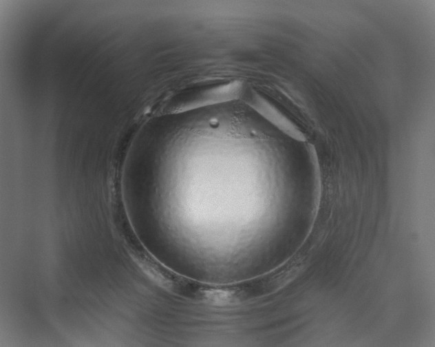 X0000070230265200606021355