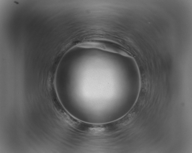 X0000070230266200606021355