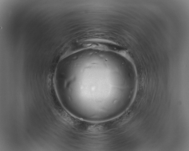 X0000070230271200606021355