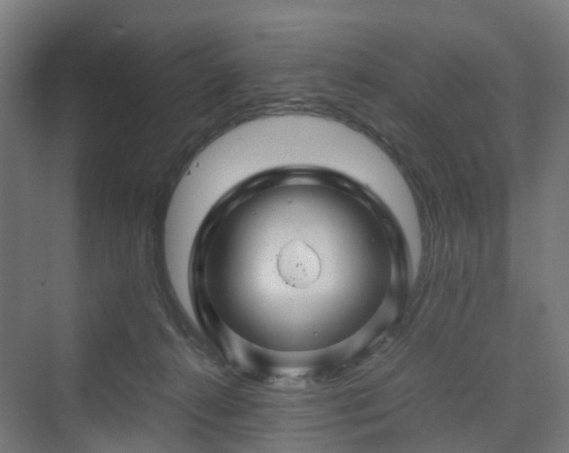 X0000070230272200606021355