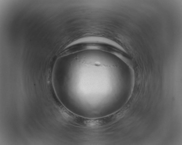 X0000070230273200606021355