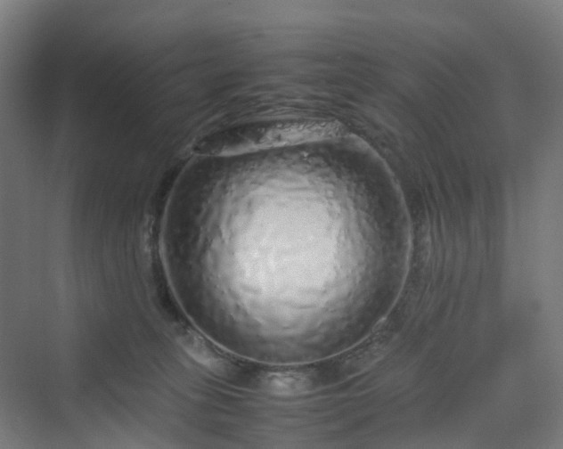 X0000070230275200606021355