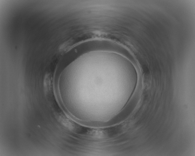 X0000070230276200606021355