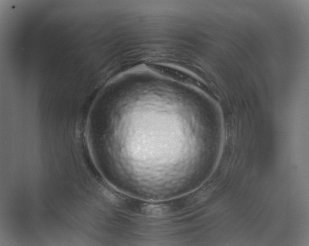 X0000070230277200606021355