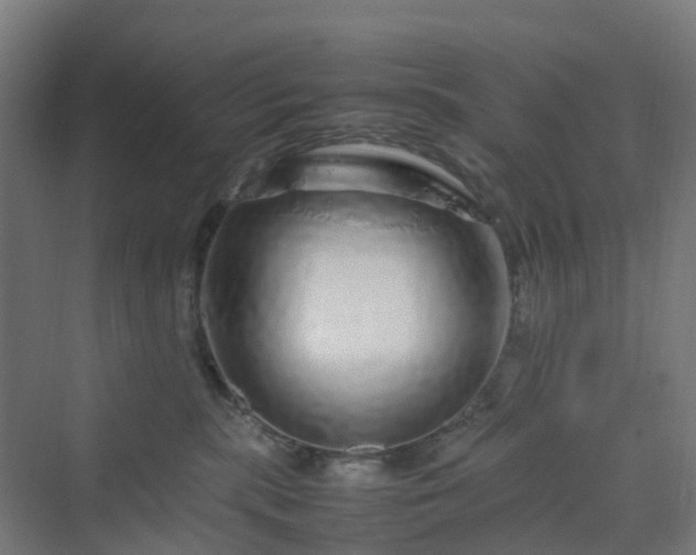 X0000070230283200606021355