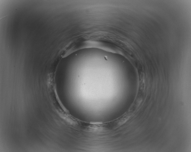 X0000070230284200606021355