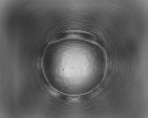 X0000070230285200606021355