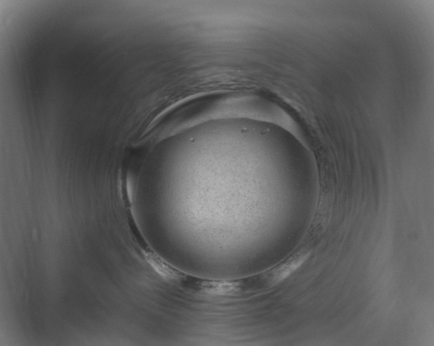 X0000070230288200606021355