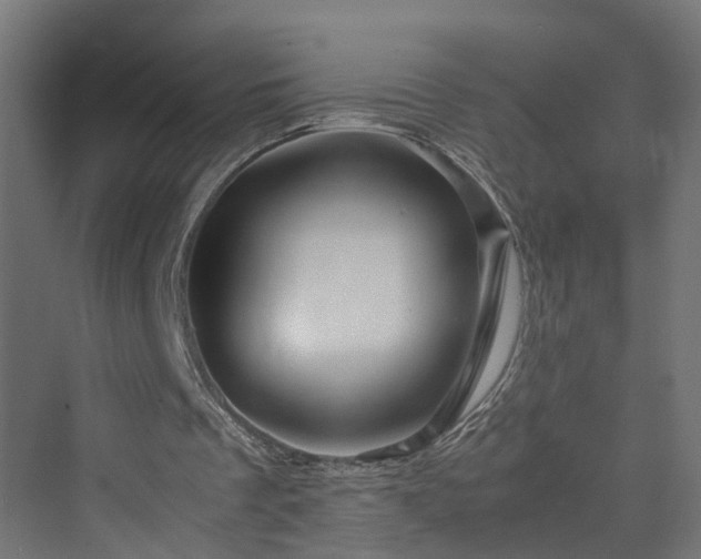 X0000070230289200606021354