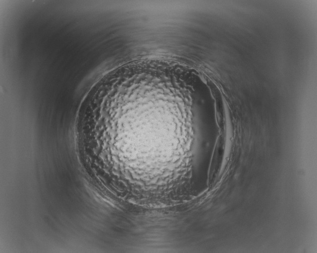 X0000070230290200606021354