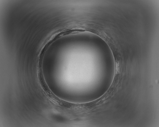 X0000070230291200606021354