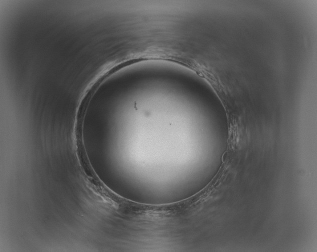 X0000070230292200606021354