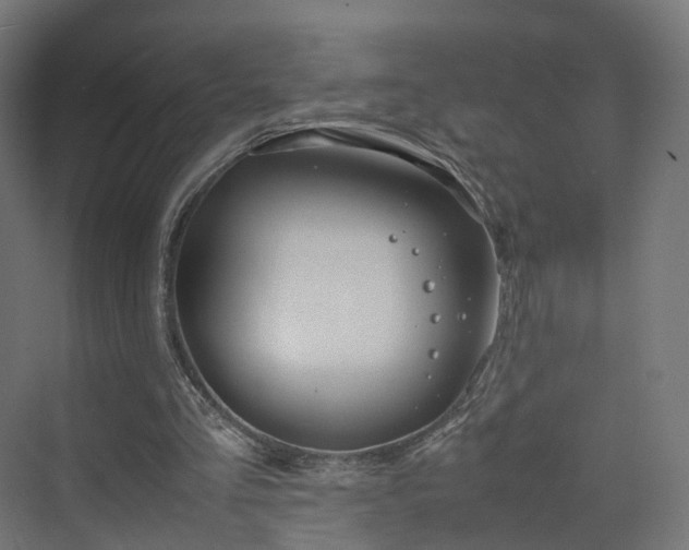 X0000070230293200606021354