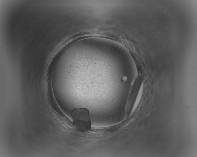 X0000070230295200606021354