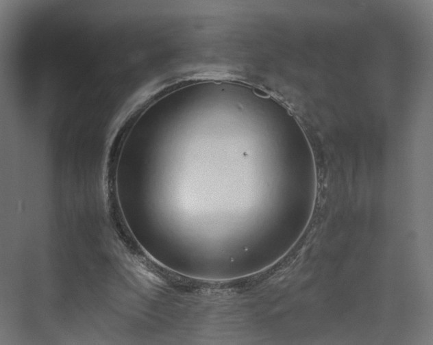 X0000070230296200606021354