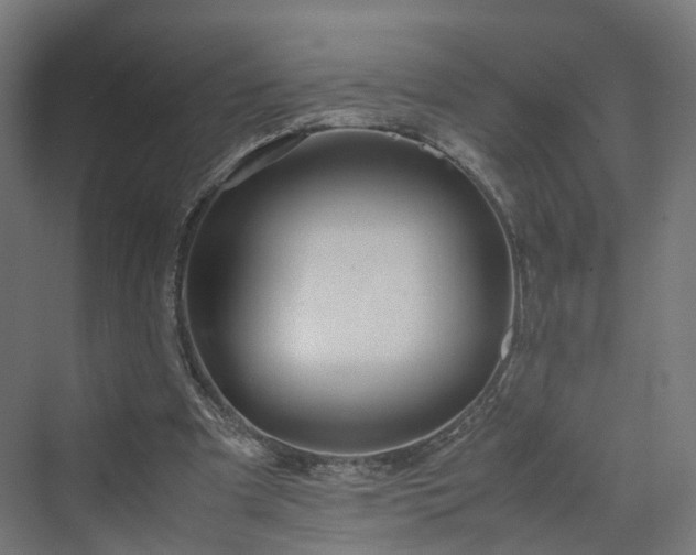 X0000070230297200606021354