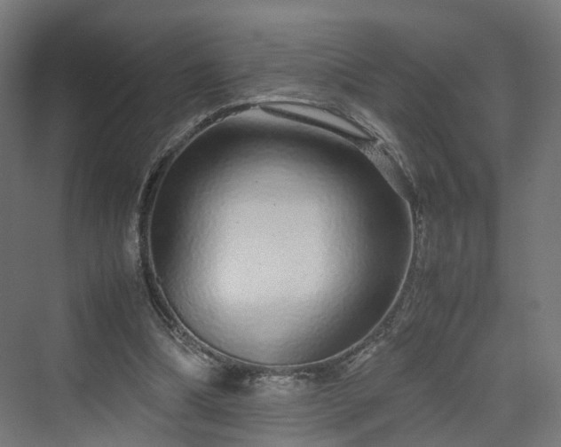 X0000070230298200606021354