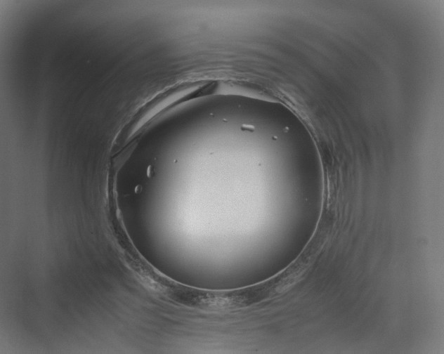 X0000070230301200606021354