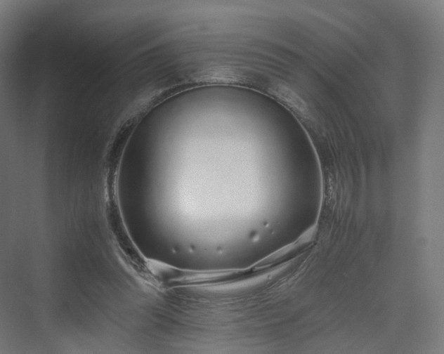 X0000070230302200606021354